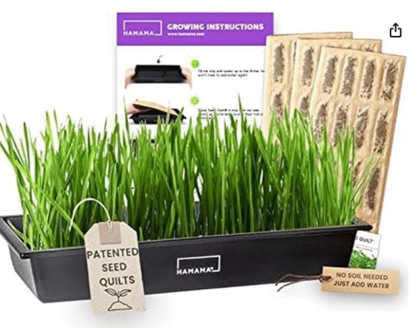 Lot # 2686: HAMAMA Home Microgreens Growing Kit With Microgree